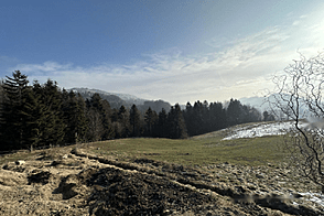 Дворянская усадьба, Каменный горный дом.