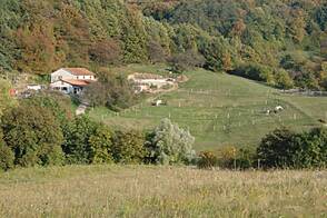 Дом с конюшней в Кметияново Сеножеце