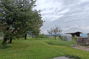 Дом Ойстришка в Кметияново Вас