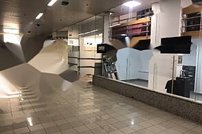 Бежиградский двор - коммерческое здание