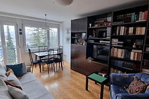 Квартира на Зелёной Яме