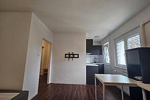 Студия-квартира Новошентвид