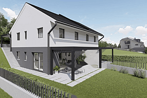 Дом, Двойня Новая Бесница