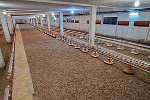 Дом, ферма Фаровец близ Словенской Бистрицы