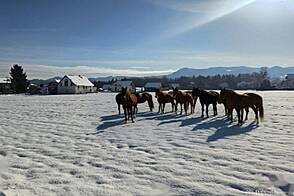 Ферма Любечна, двор.