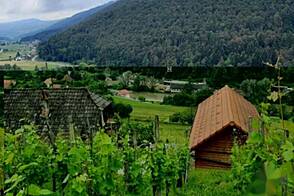 Сотеска, дом