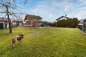 Дом в Бледе