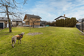 Дом в Бледе