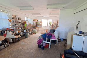 Дом для коммерческой деятельности в центральной части города