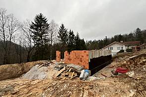 Двухквартирный дом Бесница