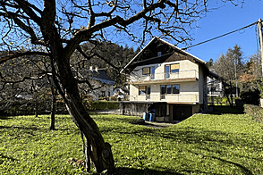 Бледский дом