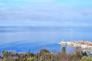 Жилище в Престижном Местоположении