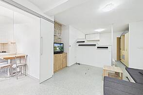 1-комнатная квартира Новая Шишка