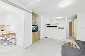 1-комнатная квартира Новая Шишка