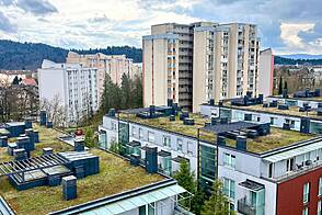 Квартира с тремя комнатами в Шишке