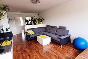 Трехкомнатная квартира в Любляне