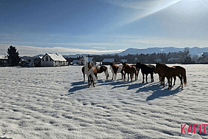 Дом Кметияново в Любечне