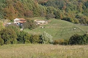 Участок, фермерское хозяйство Сеножечье.