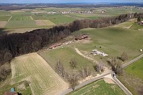 Дворянское поместье, аграрное хозяйство Куршинцы