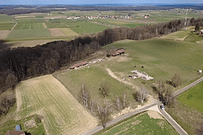 Дворянское поместье, аграрное хозяйство Куршинцы