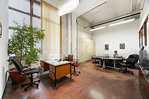 Офисная площадь Шишка