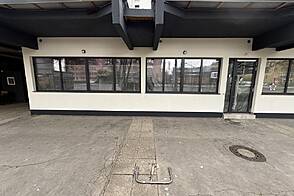 Кабинетное пространство Шишка