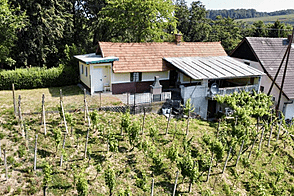 Бельский Врх, дом