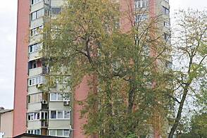 Трехкомнатная квартира Шишка