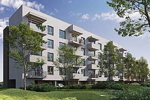 Апартаменты, студия Козина