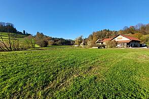 Метель 

Имение Новое Раковецкое Хозяйство.