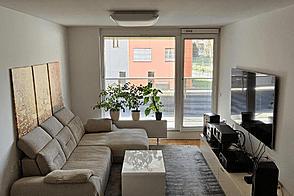 2,5-комнатная квартира в Любляне