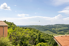 Однокомнатная квартира на Новом Святом Петре