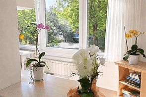 Квартира с одной комнатой на Копере