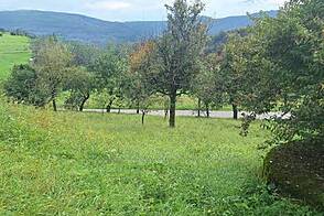 Дом, ферма Волавлие