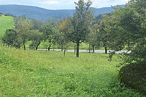 Дом, ферма Волавлие