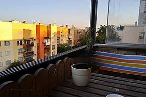 2-комнатная квартира в Новом Белграде