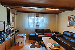 Дом, Шишка, Любляна