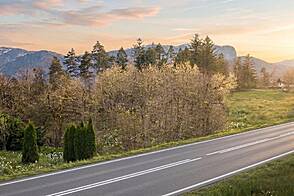 Земельный участок для инвестиций в Новом Бледе