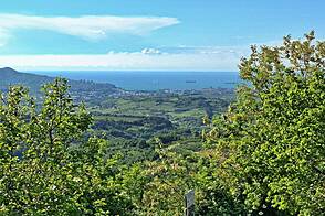 Дом, Мареджище