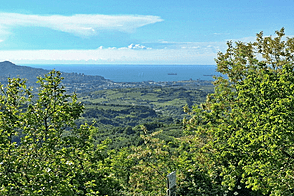 Дом, Мареджище