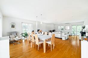 Трёхкомнатная квартира, Шишка