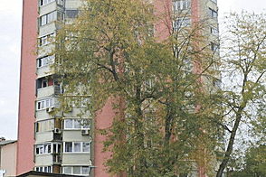 Трехкомнатная квартира в Шишке