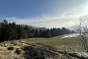 Каменная гора, ферма, усадьба.