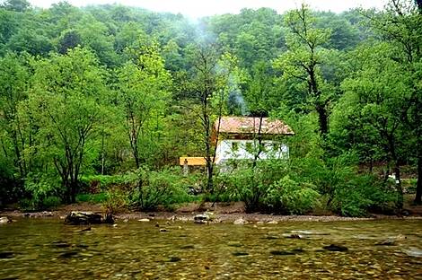 Дом на 4 апартамента около реки на границе с Хорватией: 17