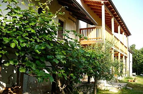Традиционный дом с видом на зеленые окрестности : 2