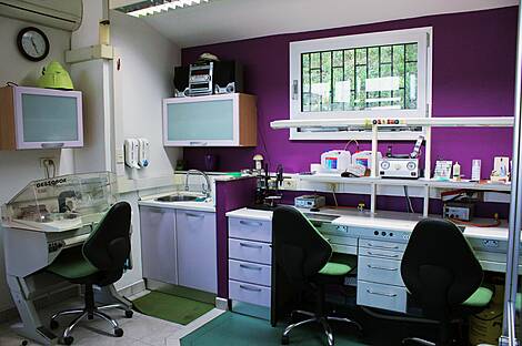 Стоматологическая клиника и зуботехническая лаборатория: 4