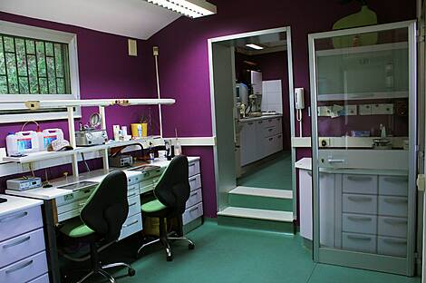 Стоматологическая клиника и зуботехническая лаборатория: 6