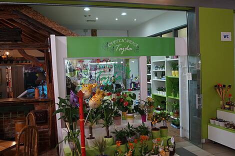 Кафе с террасой и цветочный магазин с арендатором- доход 7,2% GRY: 6