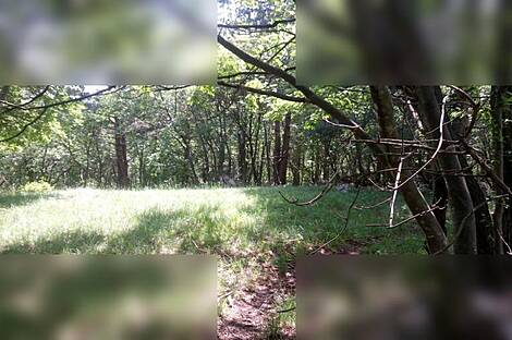 Продажа недвижимости, Горишка, Айдовщина, земля сельскохозяйственного назначения, 3140 м2: 1