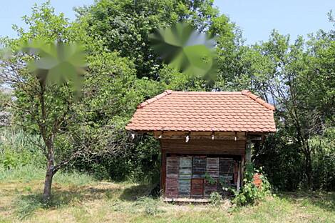 Жилище, Студенчике: 2